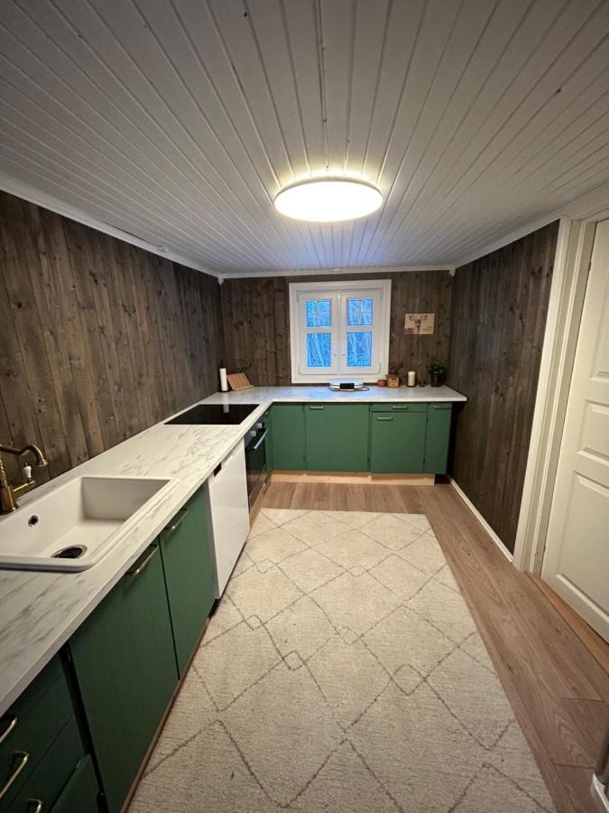 Beautiful Cabin By Mjosa. Villa Stange Ngoại thất bức ảnh